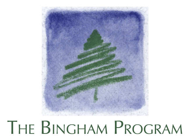 The Bingham Program logo